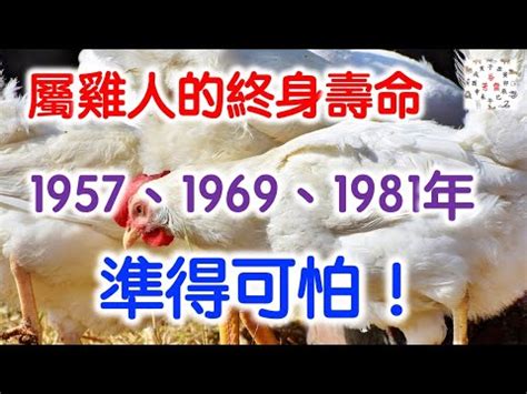 1981農民曆